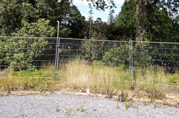 radio sonde swinging from a tree